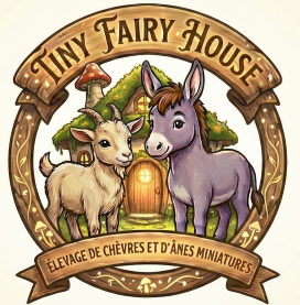 Tiny Fairy House